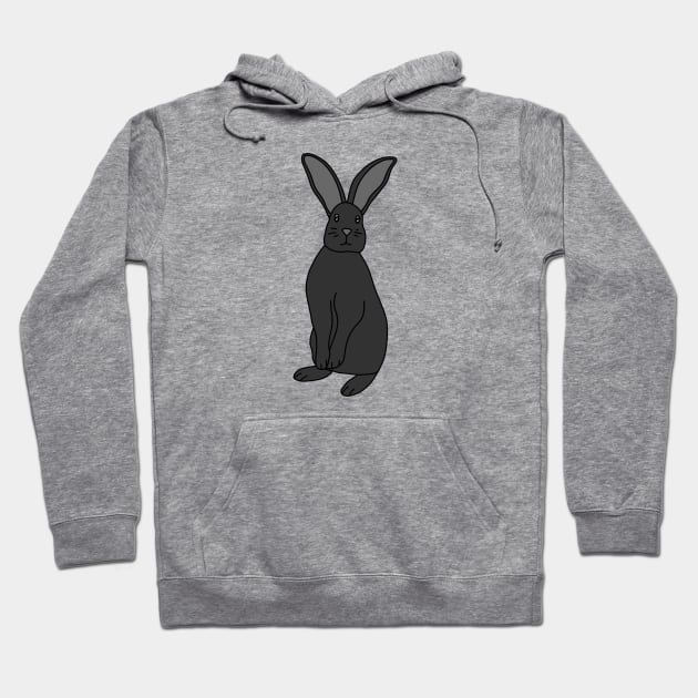 Bunny rabbit hoodie store